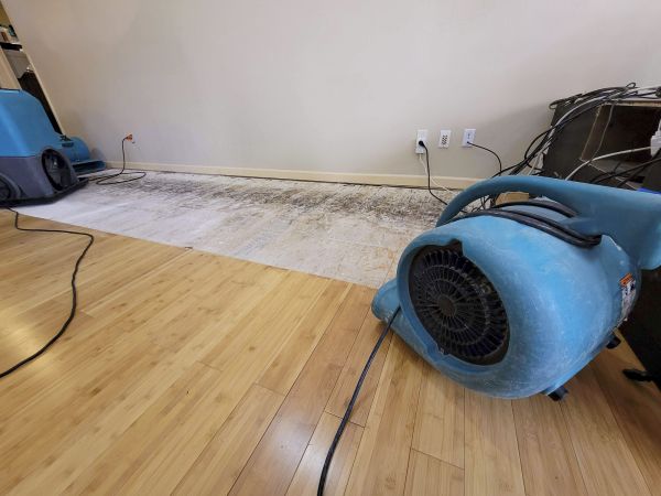 Cost of Water Damage Mitigation in Delaware
