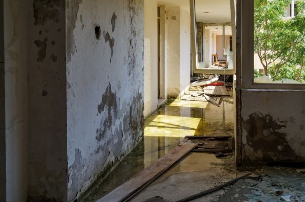 Cost of Water Removal Service in Delaware