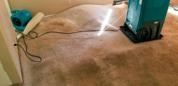 Carpet Water Extraction in Delaware