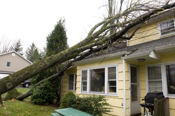 Hurricane Damage Repair in Delaware