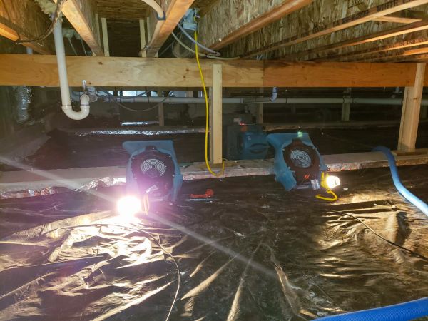 Cost of Crawlspace Water Removal in Delaware